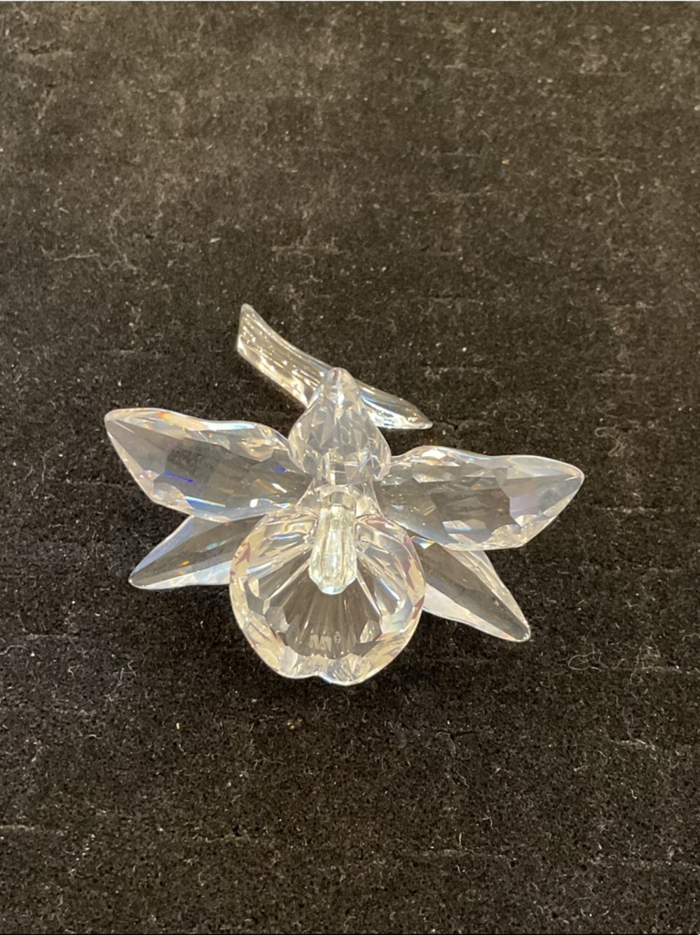 Swarovski Yellow Crystal Orchid